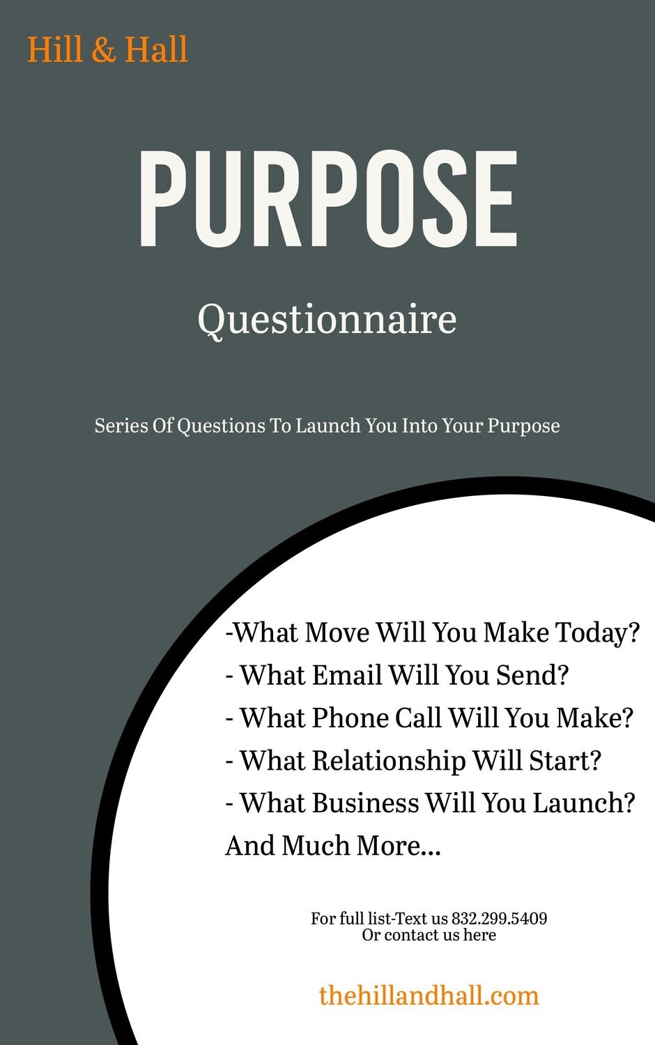 Purpose Questionnaire- *$155/Session. Click here for cost details.