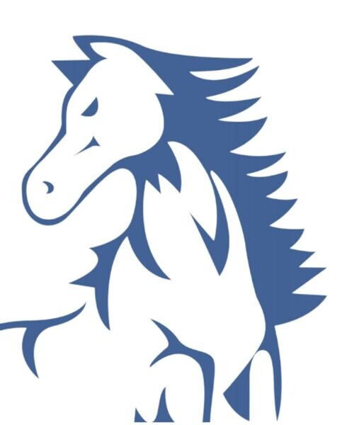 Port Melbourne Colts Football Netball Club