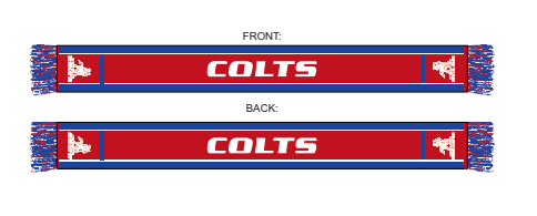 PMC 2025 - Scarf