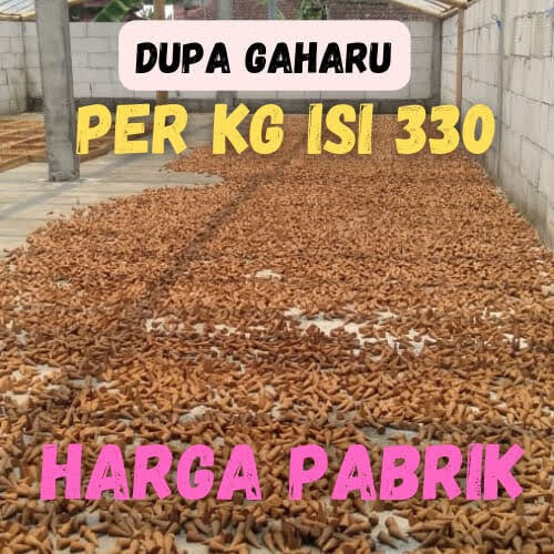 DUPA KERUCUT GAHARU HARGA PABRIK