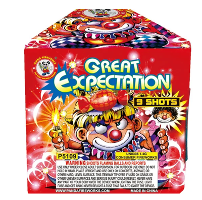 Great Expectation