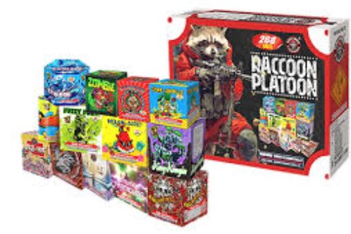 Raccoon Platoon