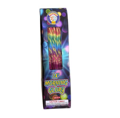 Brothers Morning Glories | 14"