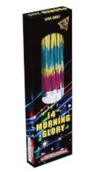 Morning Glory | 14"