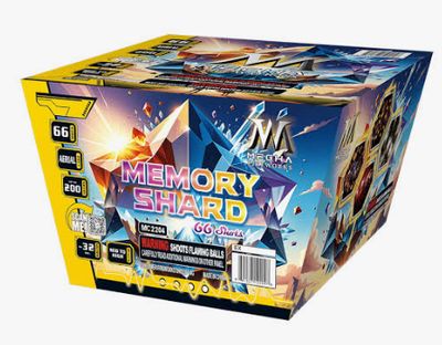 Memory Shard