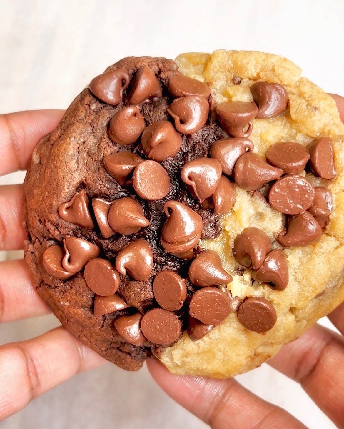 Brookie (4 Count)