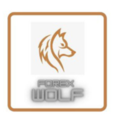 6 Months premium signals