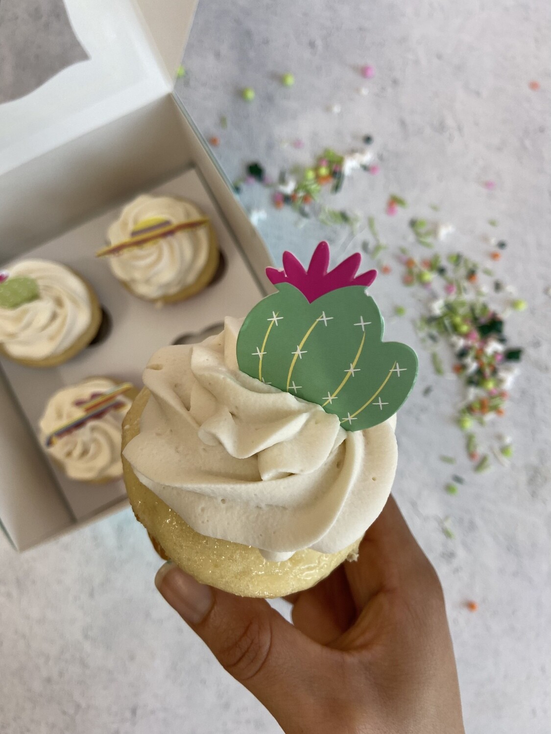 Gourmet Cupcakes (Dozen)
