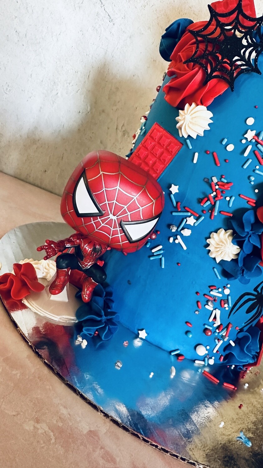 Book Single Tier Themed Cakes &amp; Consultation