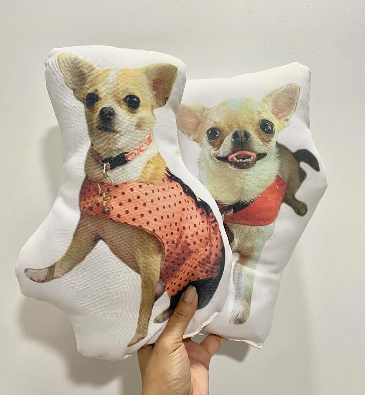Cojines personalizados pequeños
