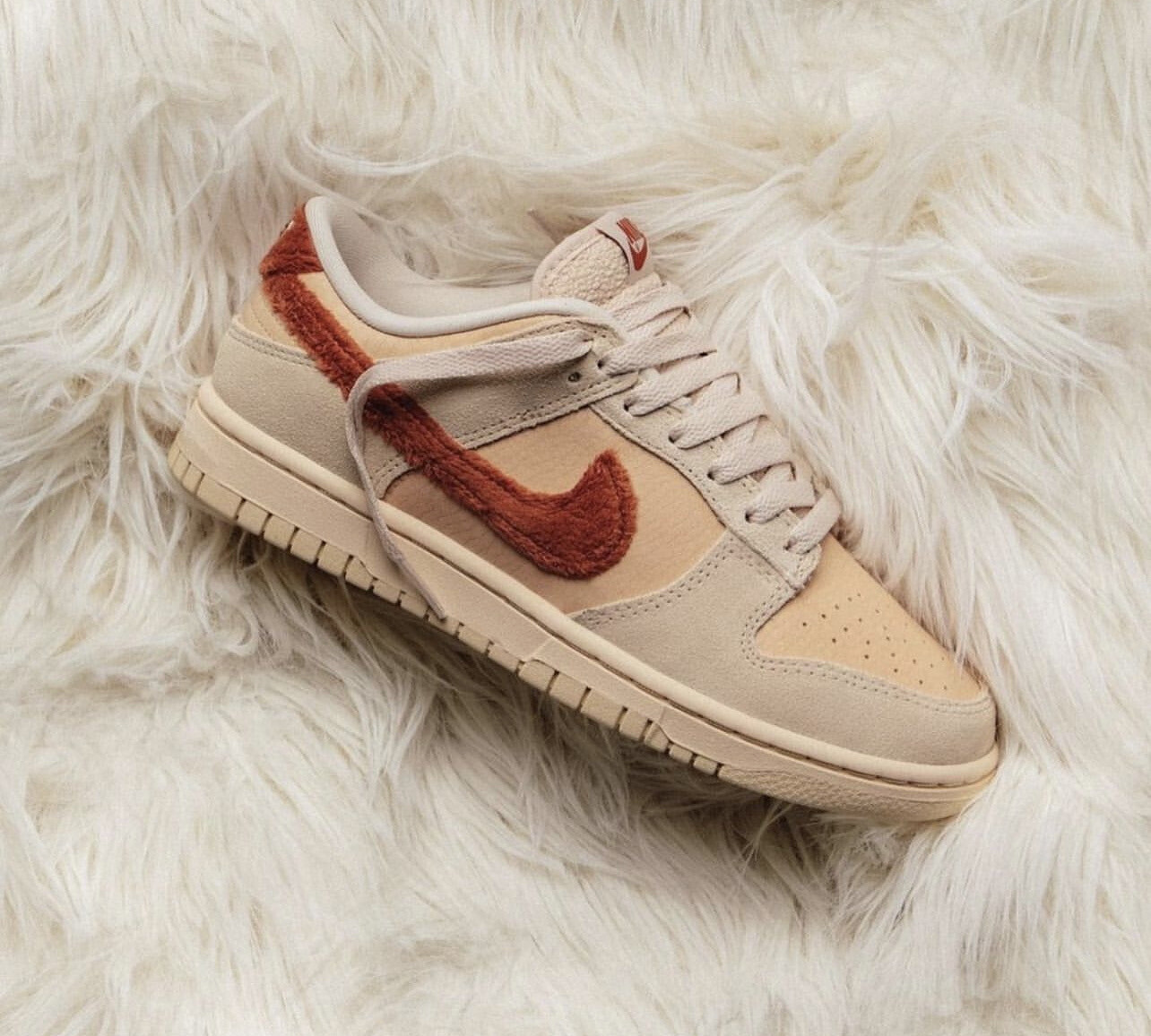 SB DUNK LOW “Terry Swoosh”
