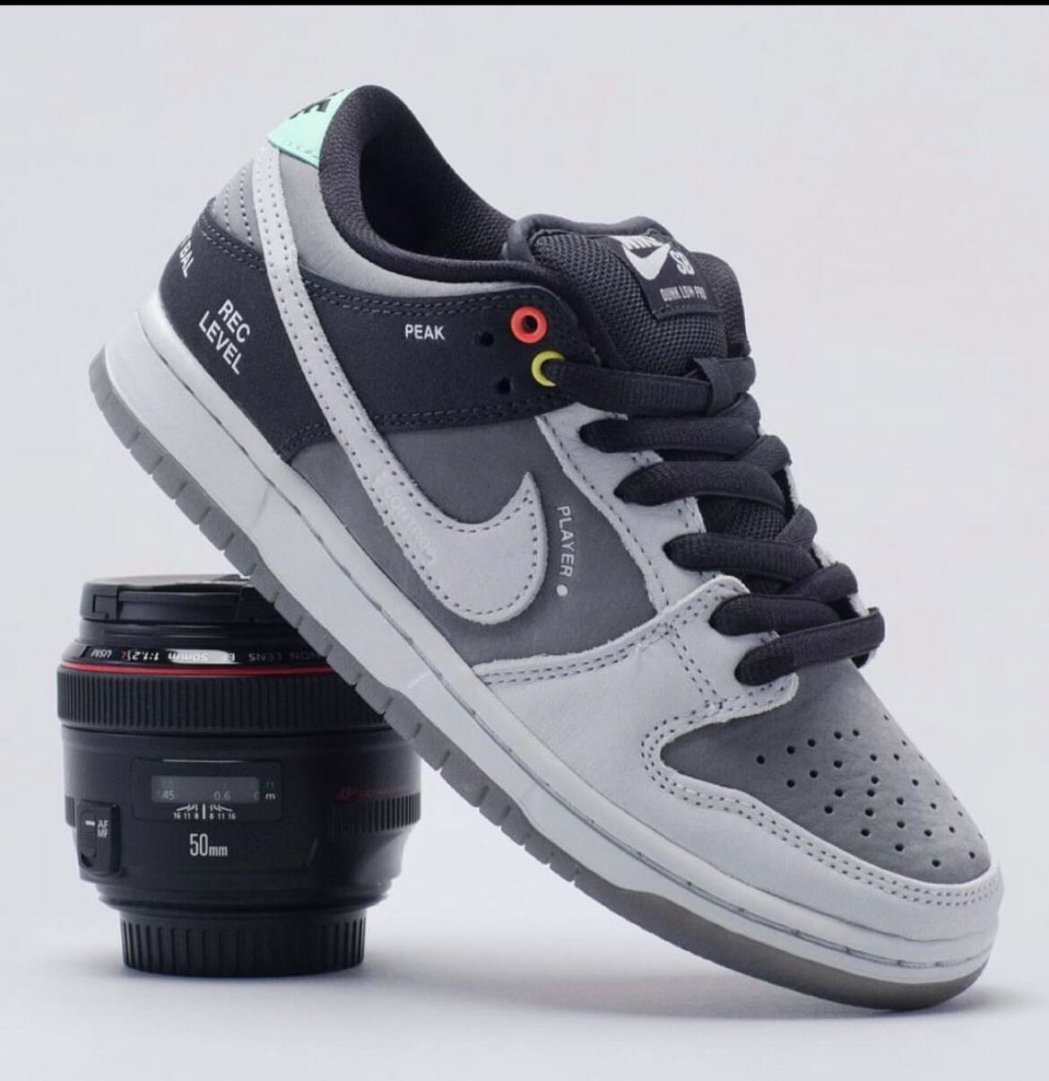 Dunk Low camera
