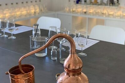 Barbican Botanics Gin Room Connoisseur Premium Masterclass Voucher for One
