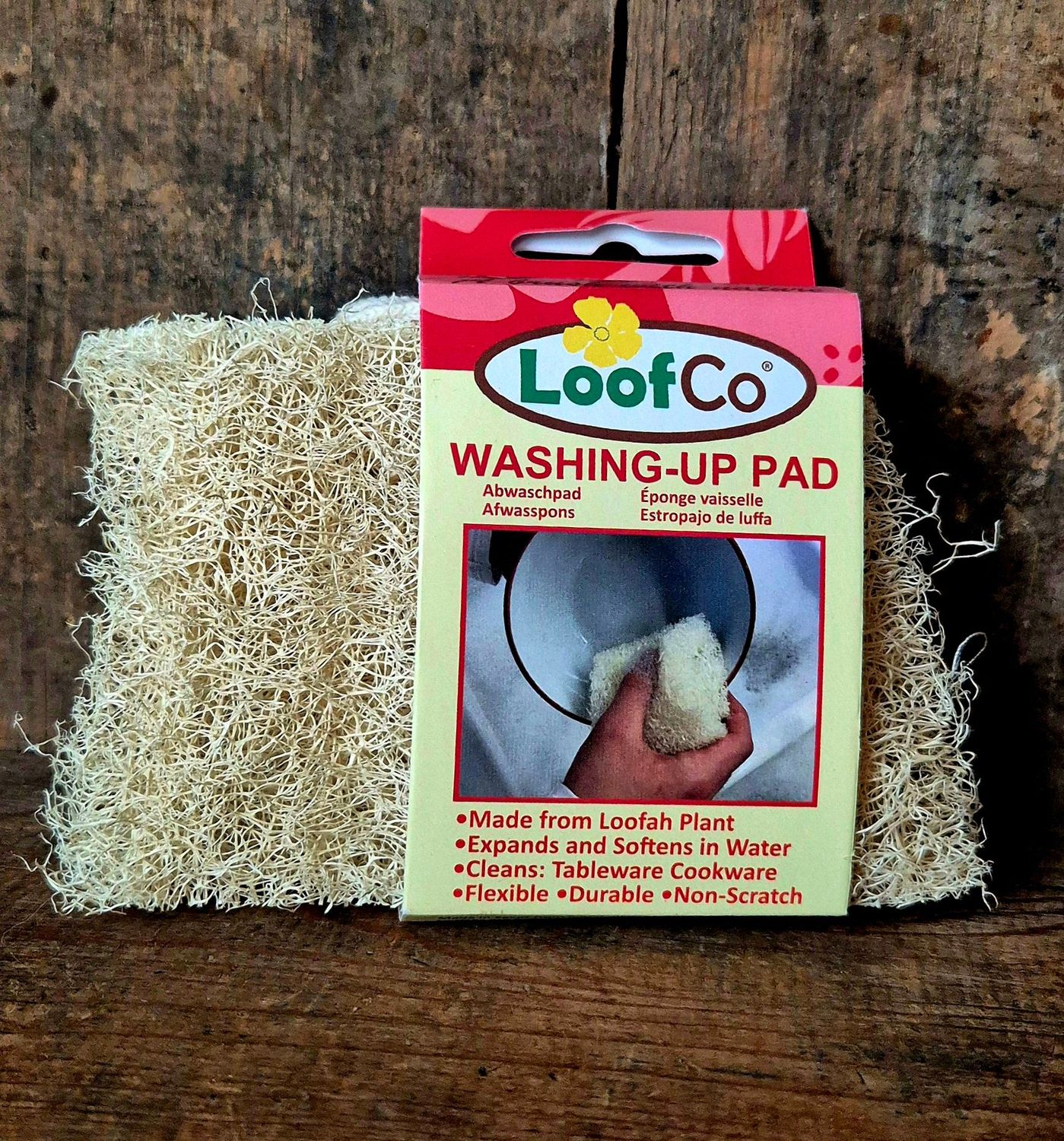 Afwas spons Loofco
