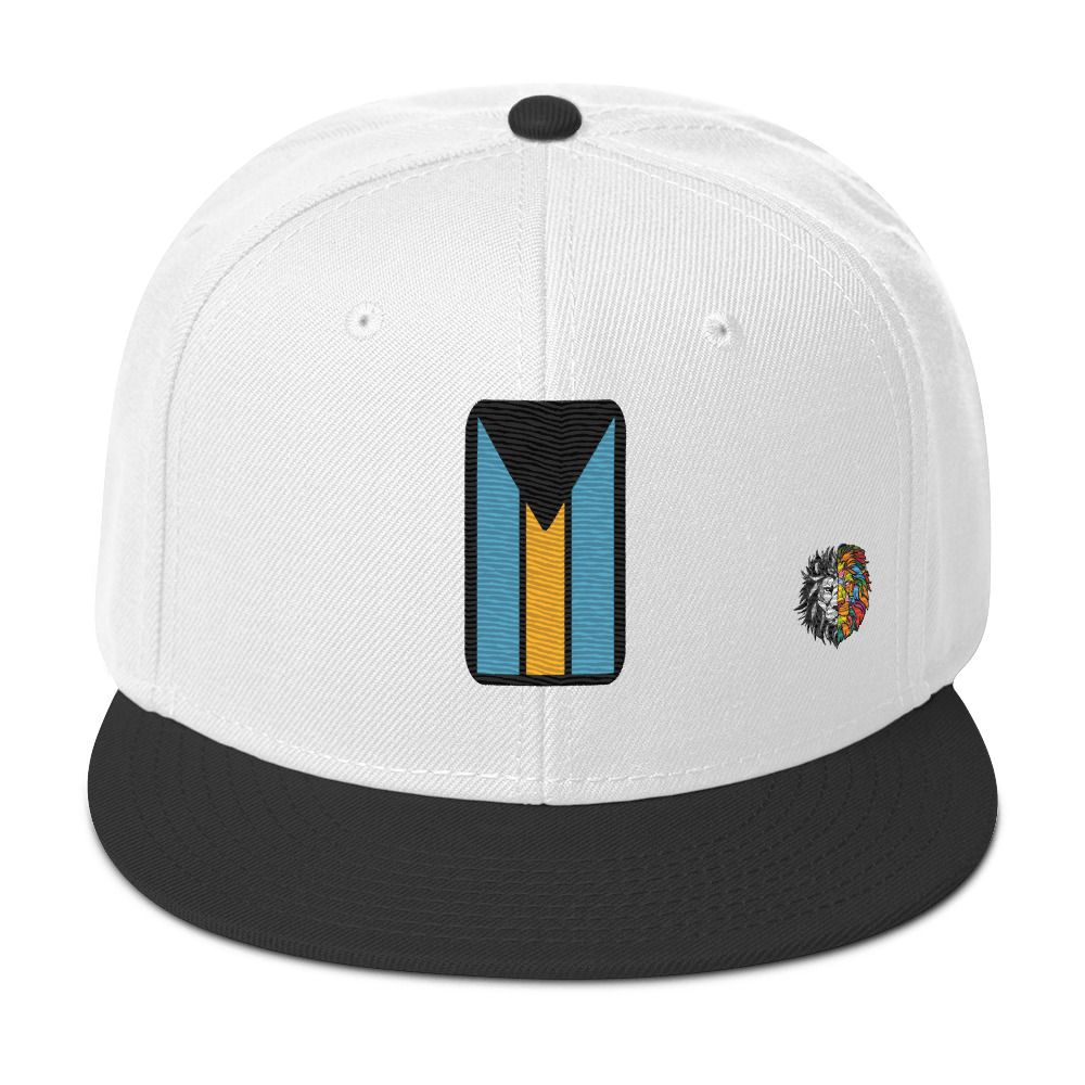 JLB Vertical Flag Cap Color Bill Snapback