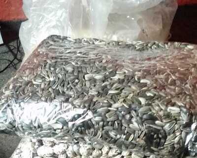 SUNFLOWER SEEDS