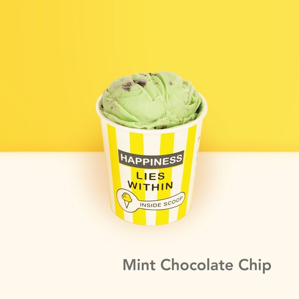 Mint Chocolate Chip (473ml)