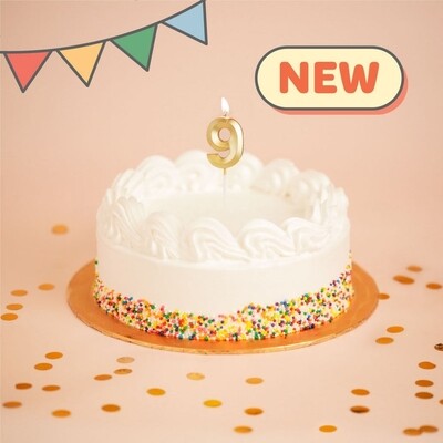 Birthday Sprinkle Ice Cream Cake