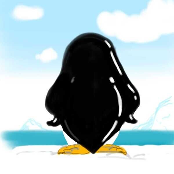Penguin's Heaven Gift Ideas