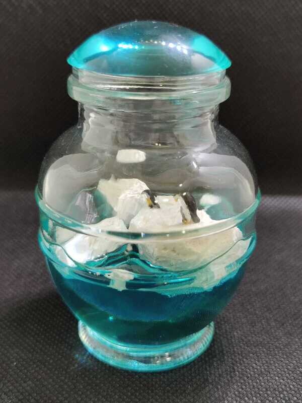 Antarctica In A Bottle