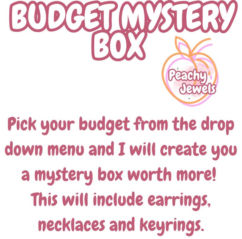 BUDGET MYSTERY BOX🎀