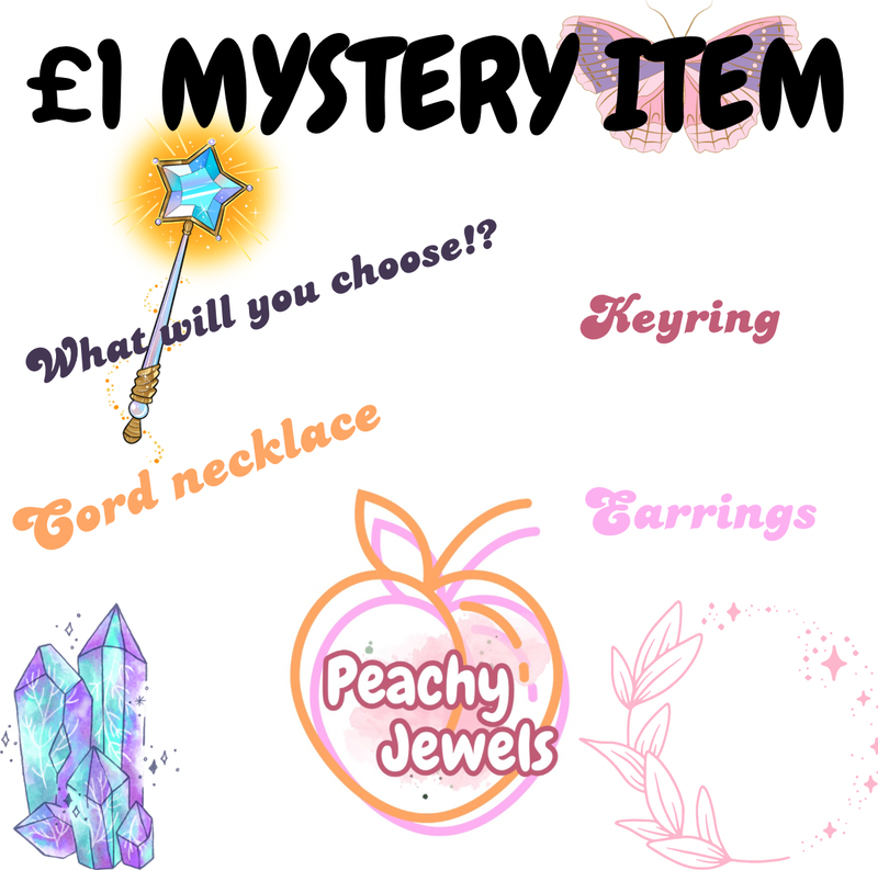 £1 MYSTERY ITEM ✨