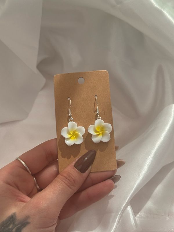 White And Yellow Flowers 🌺