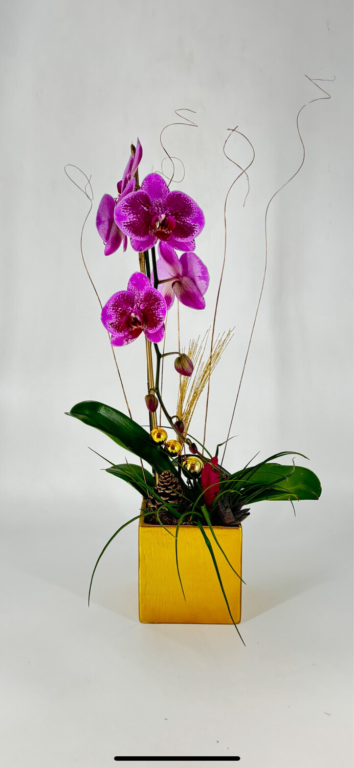 Purple Orchid Arrangement - Lozoya