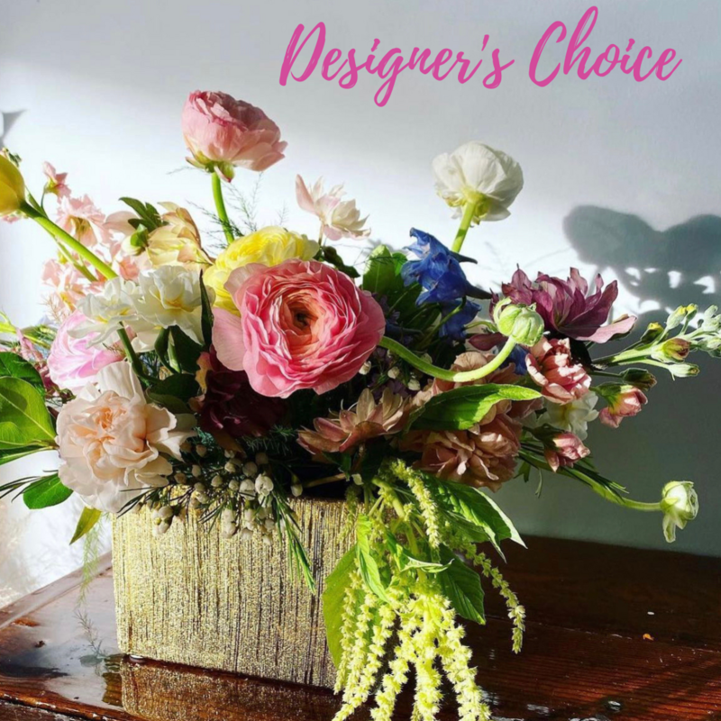 Designer's Choice From $80