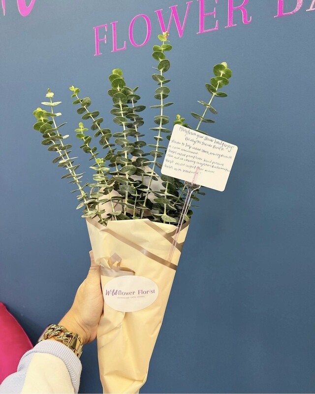 Eucalyptus Shower Bundle - Shipping