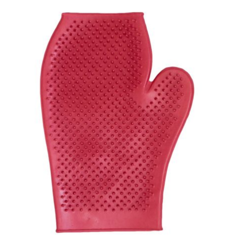 Rubber Grooming Glove