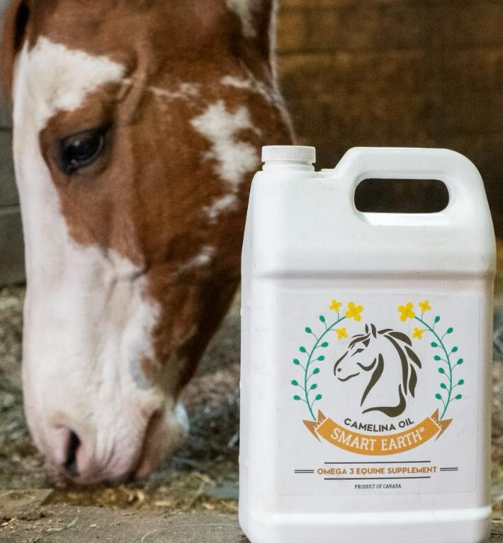 Camelina Oil for Equine
1 Gallon Jug - 60 Day Supply
