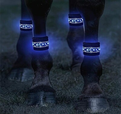 1pc LED Horse Boots, Night Horse Riding Equipment, LED Horse Tack, Adjustable Size Equestrian Safety Gear, Outdoor Sports Equestrian Supplies