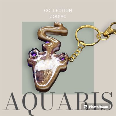 Aquarius Keychain