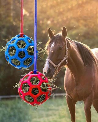 1Pc Ball Hanging Feeding Toy For Horse Horse Goat Sheep Relieve Stress Horse Treat Ball Horse Treat Ball Hay Feeder Toy (random color)