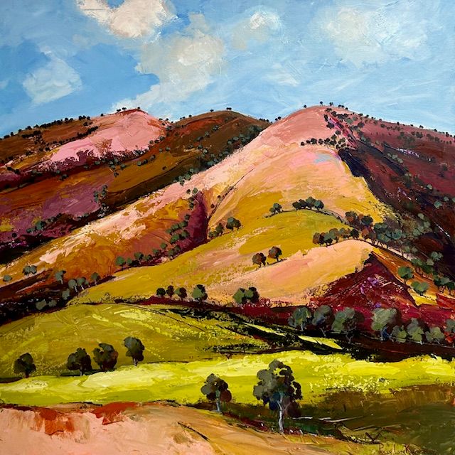 &quot;Exploring the Flinders&quot;      100cm X 100cm