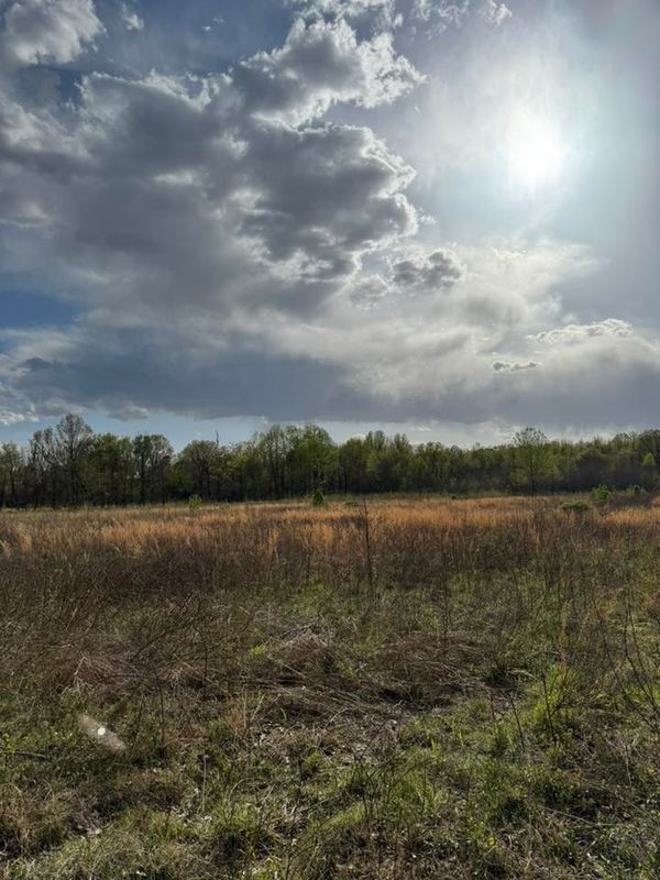 7 acres M/L County Road 343, Piggott, AR 72454