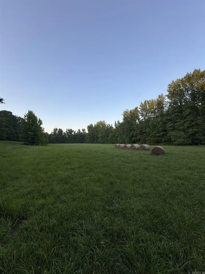 County Road 470, Rector, AR 72461