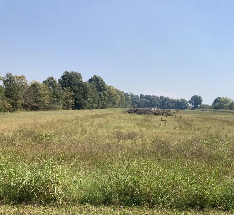 N Johnson Ave Piggott, AR 72454 N Johnson Ave Piggott, AR 72454