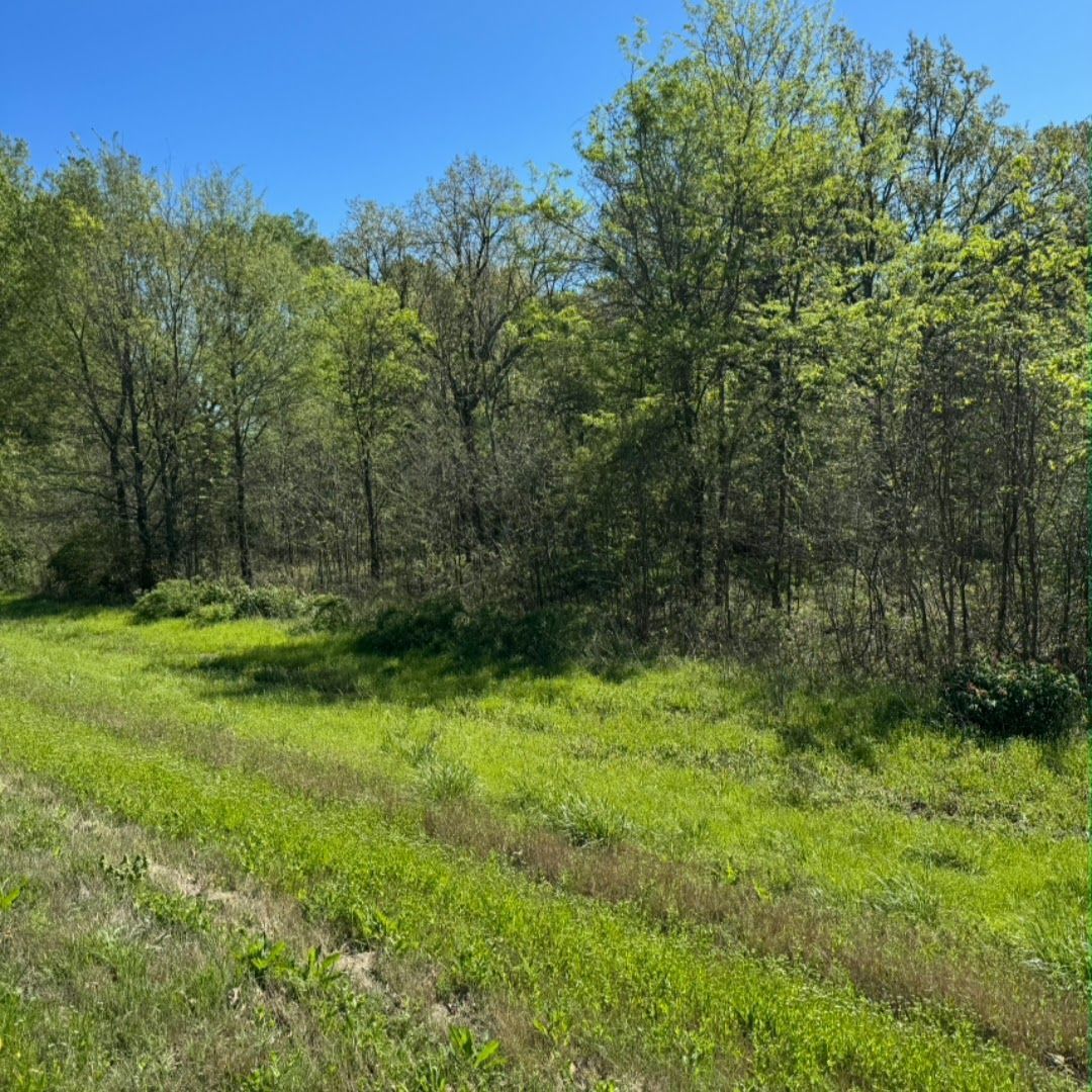 1630 Highway 67 Corning, AR 1630 Highway 67 Corning, AR