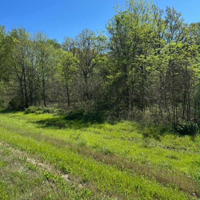1630 Highway 67 Corning, AR