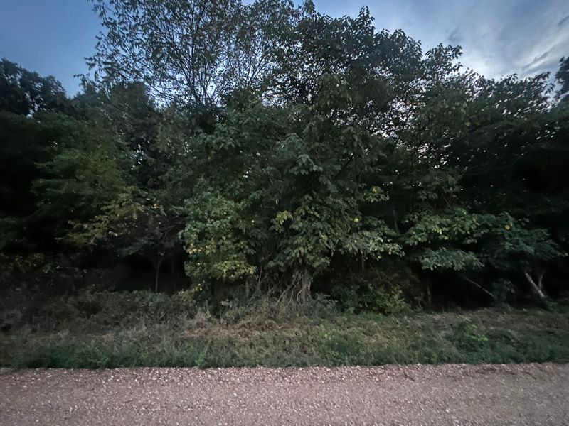 4322 County Road 310 Piggott, AR 72454