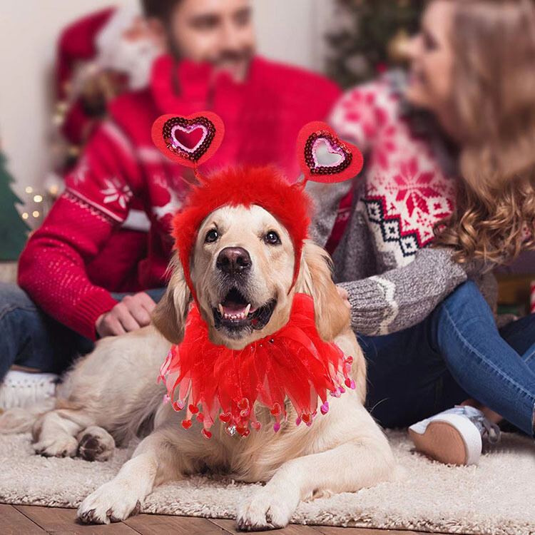 Valentine's Day Pet Dress Up Set Dog Birthday Party Decoration Hat Set