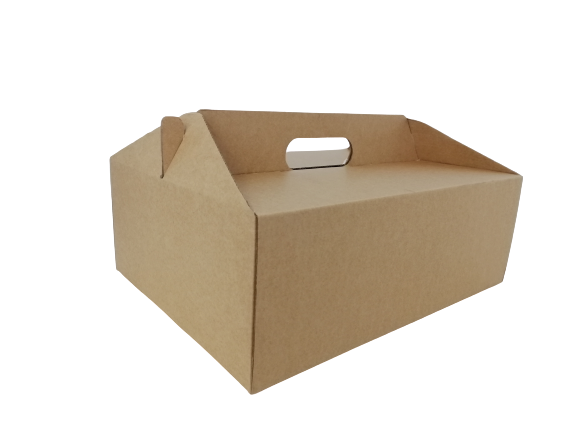CARRY PACK MEDIUM 320x240x115