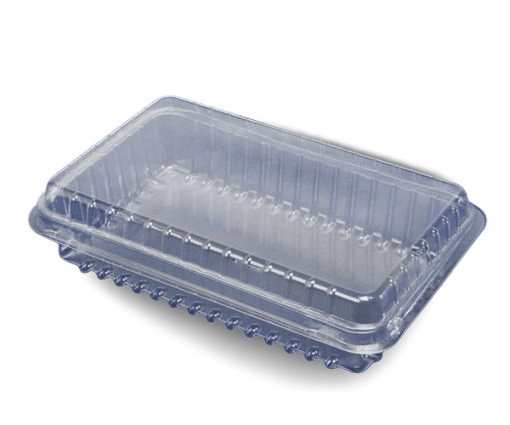 Sushi Container Clear Clam
