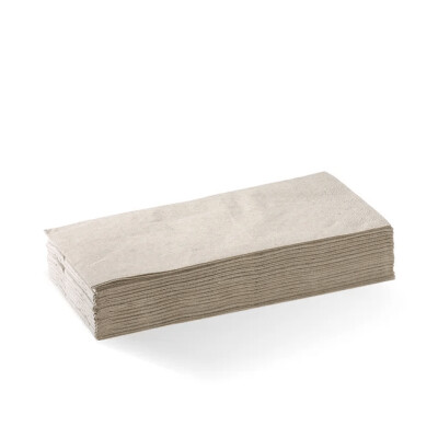 Dinner Napkin 2 Ply 1/8 Fold