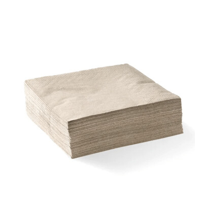 Dinner Napkin 2 Ply 1/4 Fold Embosed