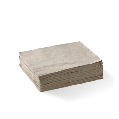 Lunch Napkin 2 Ply 1/4 Fold