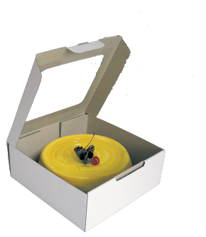 Cake Box With Window