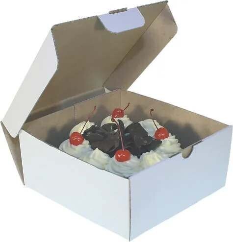 Cake Box No Window